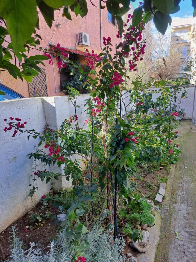 Pine Trees 55 Βίλα Αθήνα Εξωτερικό φωτογραφία